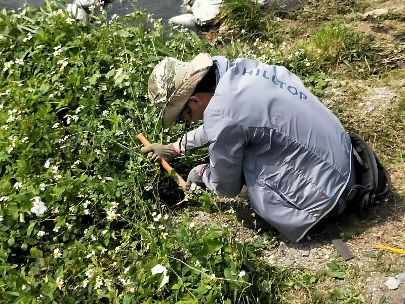 濕地吸碳有一套 臺東縣府進行太平溪濕地碳匯調查 落實淨零碳排目標