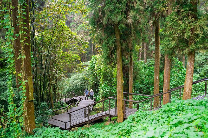 奮起湖(木棧道)