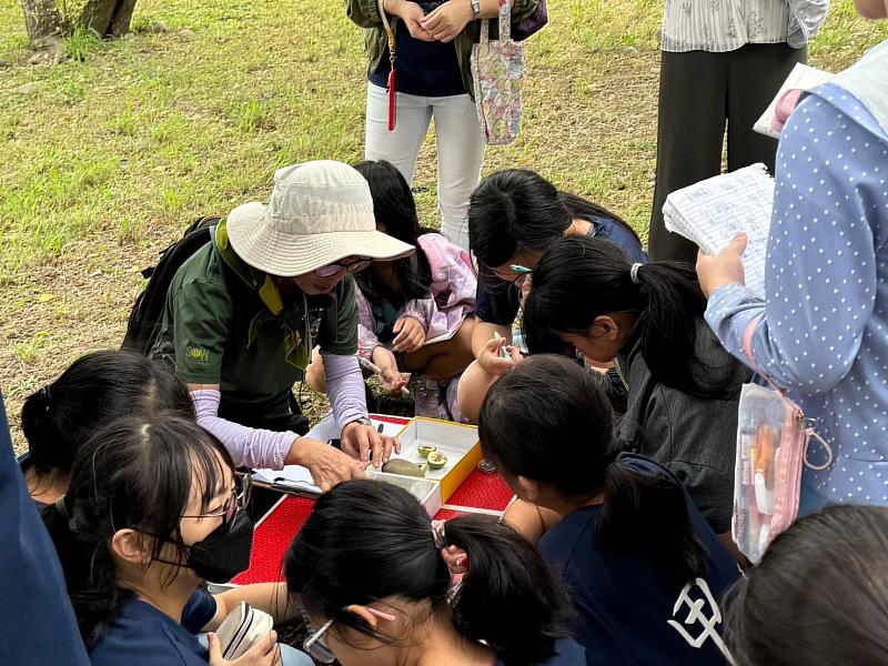 薜荔果實介紹