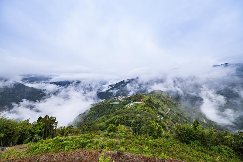 尖石仙萃茶產地泰崗部落美景。