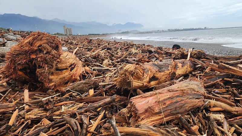 化仁海堤上累積大量漂流木