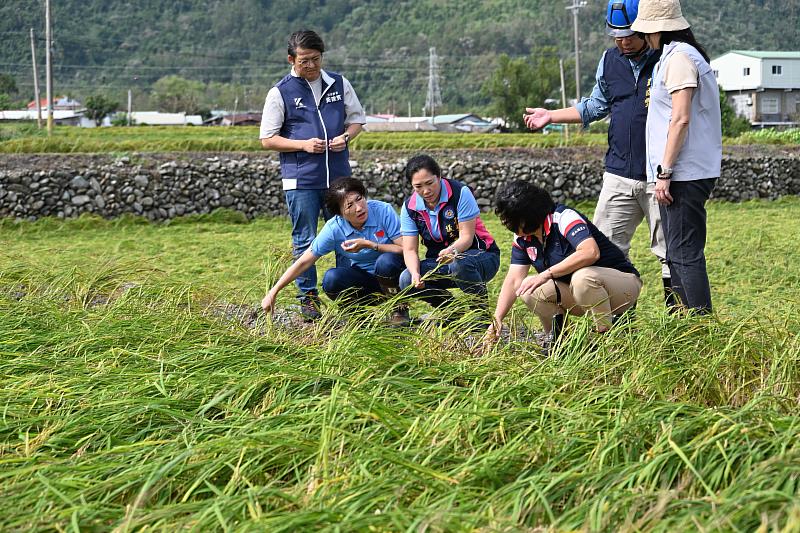 康芮強風豪雨重創臺東農漁業 縣長饒慶鈴勘災 呼籲中央支援協助農民