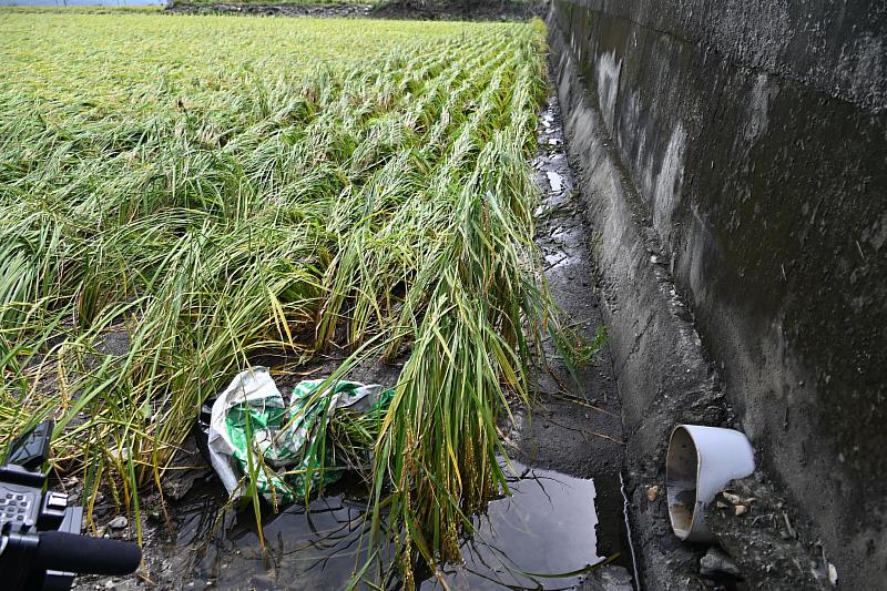 康芮強風豪雨重創臺東農漁業 縣長饒慶鈴勘災 呼籲中央支援協助農民