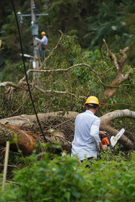 受康芮颱風影響，大型樹木、電桿倒斷嚴重，等待道路搶通不僅延長了整體搶修時間，清除倒樹、重新建桿的作業也相當耗時。圖為花蓮區處同仁進行倒樹清除作業。