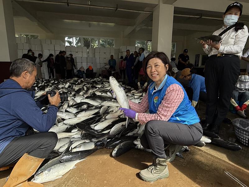 新竹縣政府農業處長傅琦媺拿著剛撈起的新鮮烏魚，歡迎大家來新竹縣品嘗烏金美味