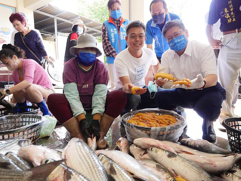 新竹縣長楊文科(右1)關心養殖戶及烏魚子品質。資料照片