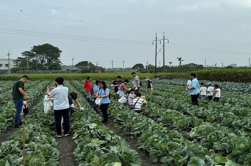 國產蔬菜結合農村體驗之遊程，適合親子參加