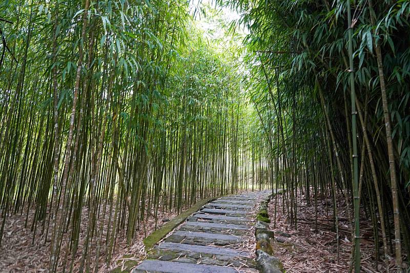 頂湖步道