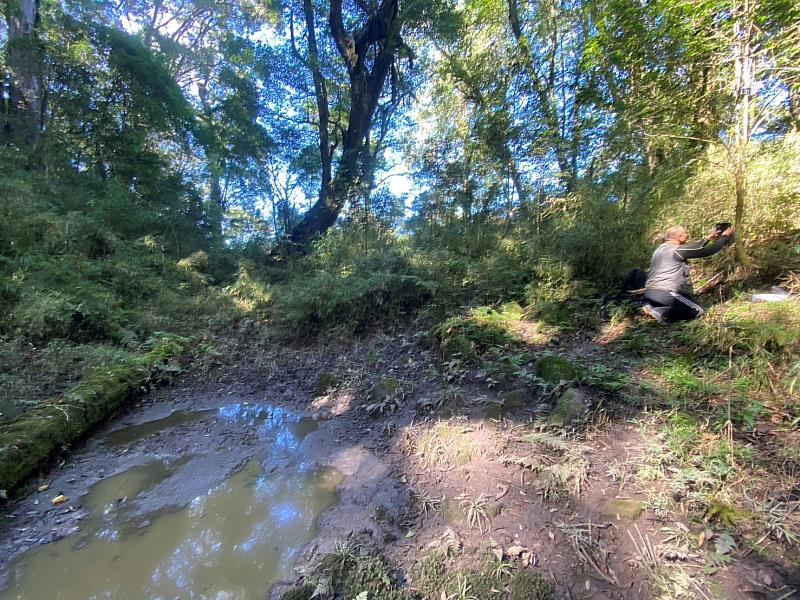 拍攝到臺灣黑熊的特富野部落獵場地勢平坦且終年有水,植被豐富多樣,是水鹿、山豬等野生動物常出沒的地方