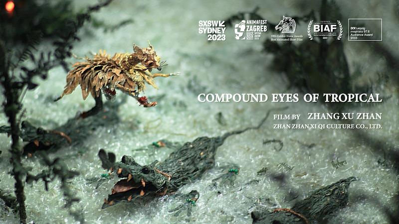 張徐展導演作品《熱帶複眼》因獲得BIAF韓國富川國際動畫影展(Bucheon International Animation Festival)短片最大獎而獲奧斯卡動畫短片入圍資格。(圖/沾沾喜氣文化有限公司提供)