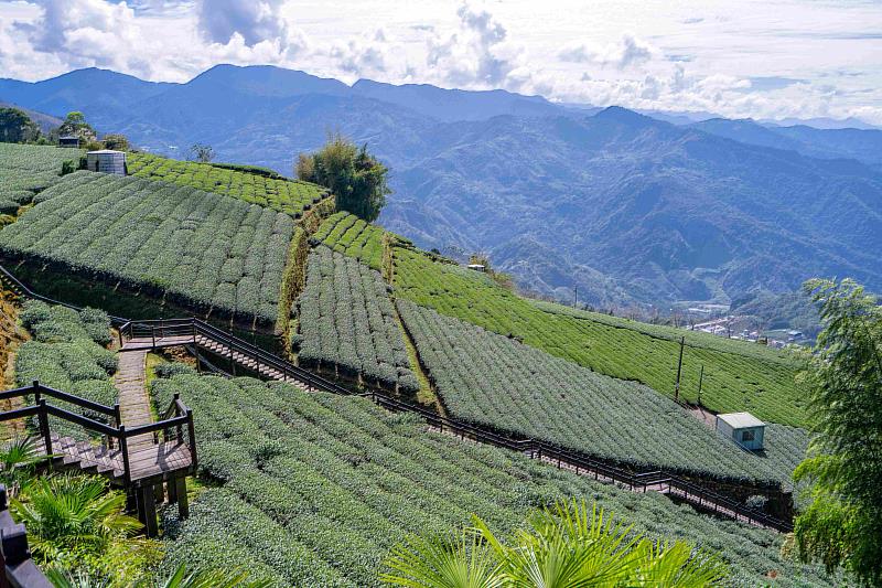 揪好友一起玩石棹！走步道、住民宿、採茶趣、追琉璃光