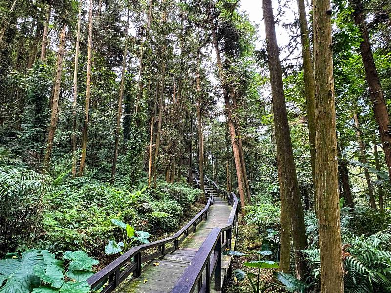 嘉義縣親子旅，逐鹿部落餵鹿、吃鄒族美食再順遊公興森態園區