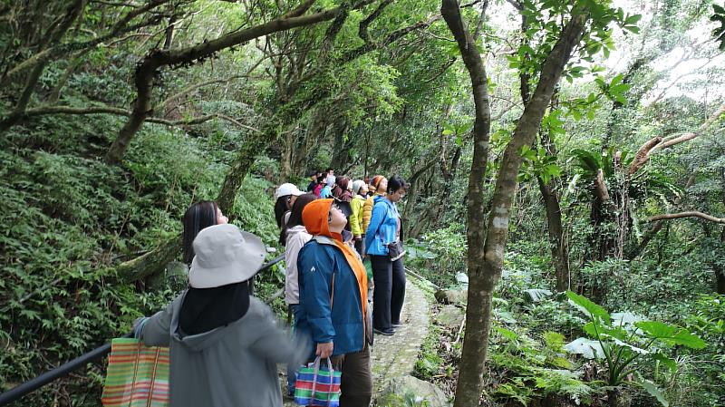 學員們進入森林禪堂，面對遠山近樹，仰望從樹蔭缺口灑下的日光，吹拂海風、聆聽鳥聲獸鳴，進行一場五感的自然洗禮。（靈鷲山佛教教團提供）