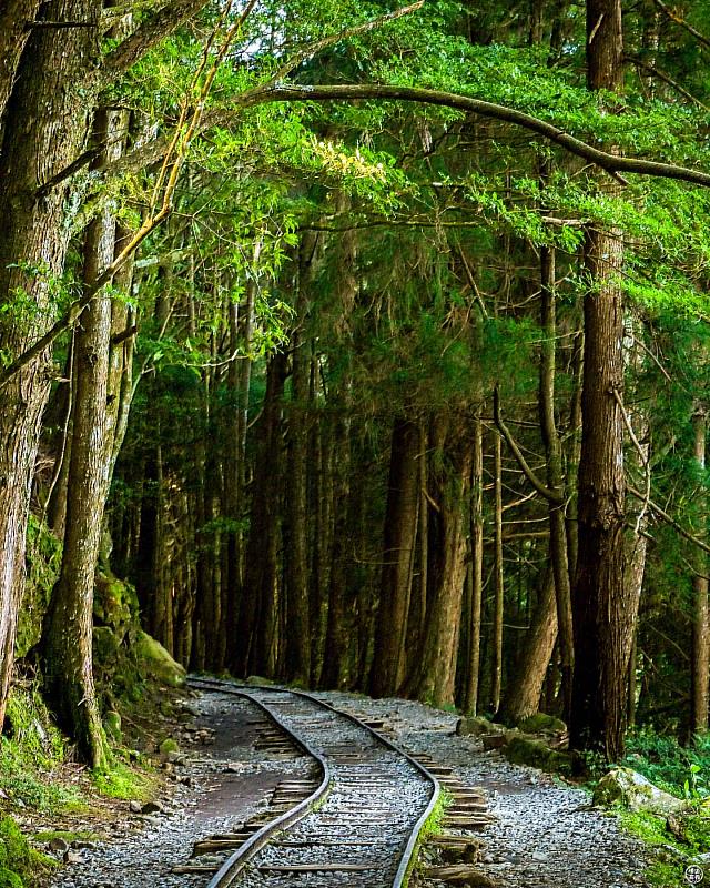 特富野古道