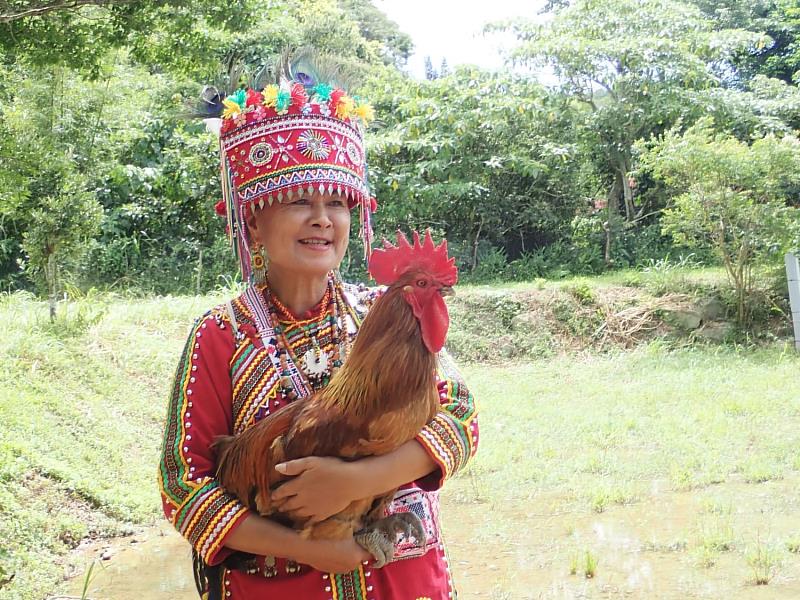 牡丹鄉林淑貞頭目帶頭飼養牡丹山林雞