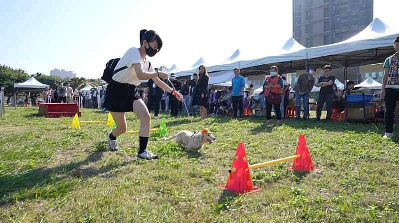 圖2 竹市毛小孩運動會127熱鬧登場