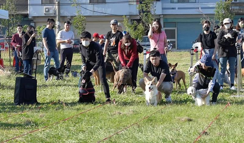 圖3 竹市毛小孩運動會127熱鬧登場