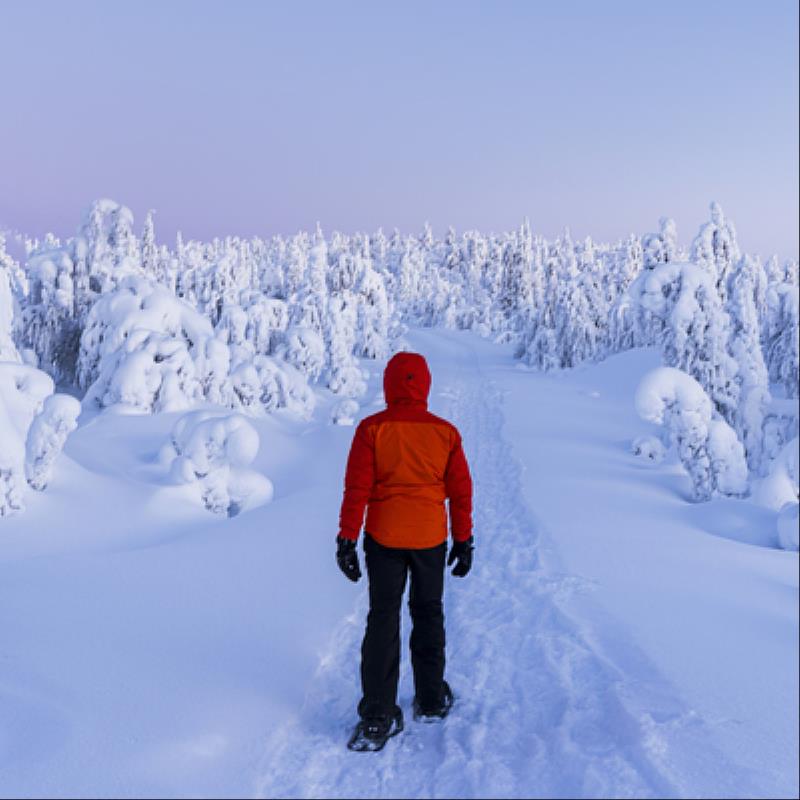 遠傳旅平險滑雪自駕有保障，再送100遠傳幣