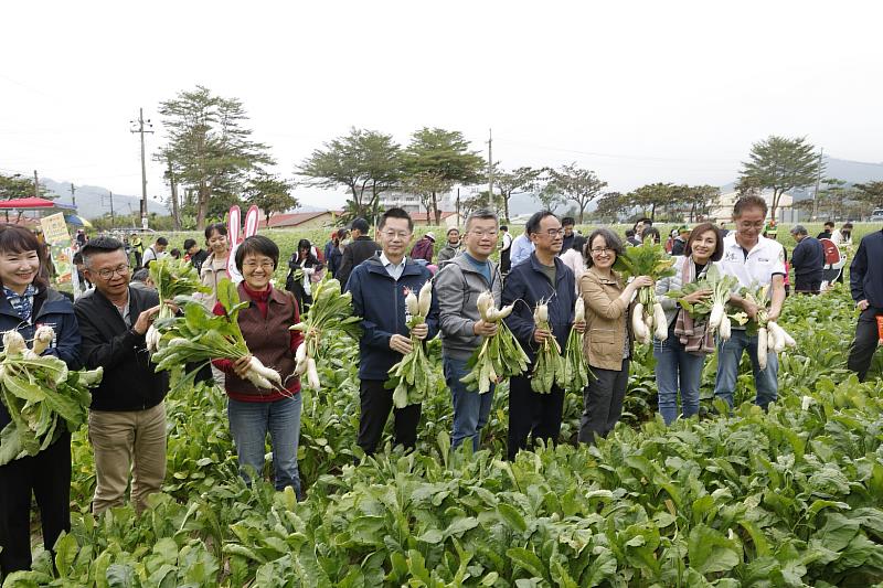 圖5 大家共下體驗挷蘿蔔