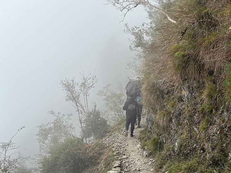 玉山群峰出現浪犬，狗狗加籠40公斤扛下山