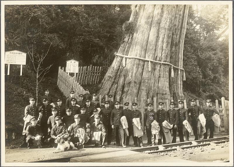 這張照片是於昭和11年（1936）12月23日攝於阿里山神木前。阿里山神木最初指的是阿里山上一棵樹齡三千年以上的紅檜，位於阿里山森林鐵路第三分道，旁邊設置的車站即命名為「神木」。阿里山神木是國際知名景點，也是阿里山森林鐵路的象徵。1956年神木遭雷擊，中心焚毀。1997年大雨後樹幹傾倒在鐵軌上，次年林務局將神木完全放倒，供人瞻仰。