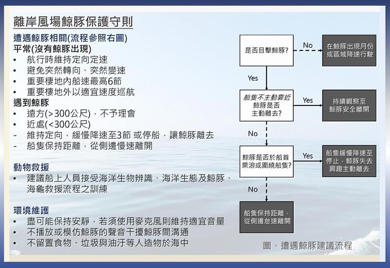 離岸風場鯨豚保護守則