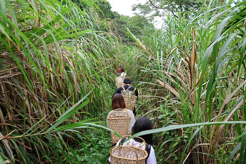 位於花蓮磯崎的高山森林基地，隱匿於山與海交匯地帶，擁有無與倫比的自然美景。