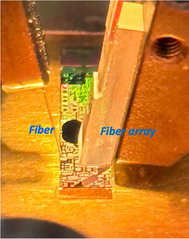 在量測系統中，光纖(Optical Fiber)負責入光，光信號進入後導入矽光子光學同調斷層掃描晶片，隨後傳送至光纖陣列(Optical Fiber Array)進行影像分析。