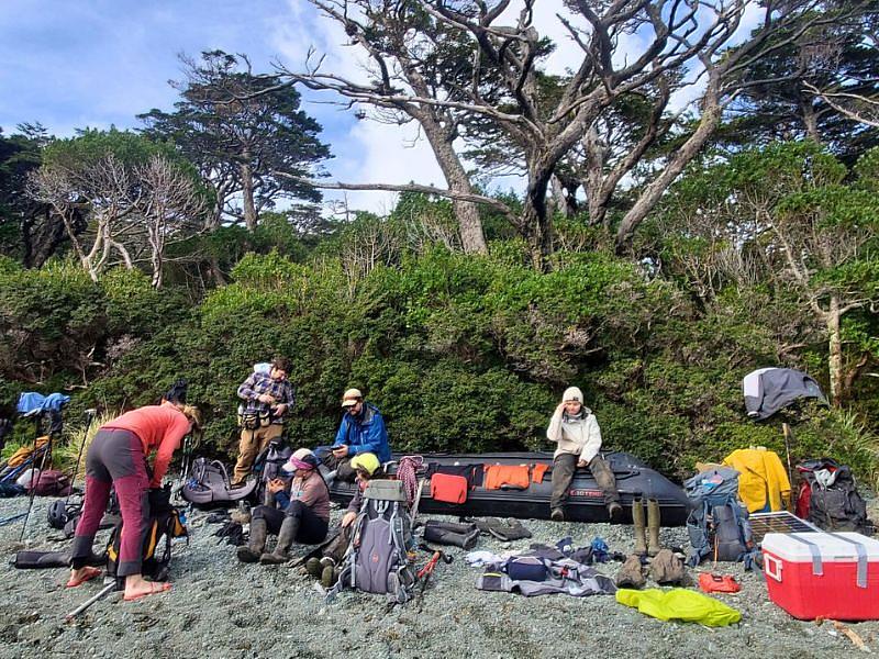 巴塔哥尼亞這片樹林，原本是一片冰川，短短二、三十年間冰川快速融化，已經長出綠樹。照片何函育提供