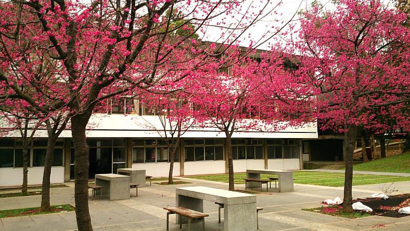 「荃園生活空間」以舒適為核心，用餐時還可欣賞荃園美景，成為學生學習與休憩的自然延伸。