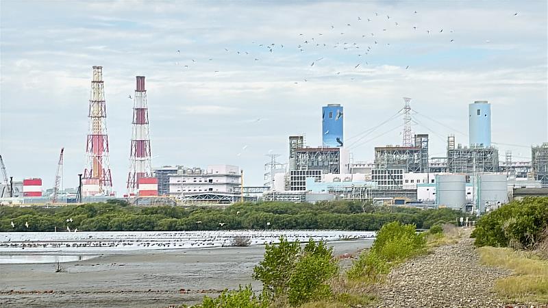 台電投入高雄永安濕地保育逾10年，透過科學化管理，結合水位調控技術，將濕地打造為適合候鳥棲息覓食的「水鳥大飯店」。