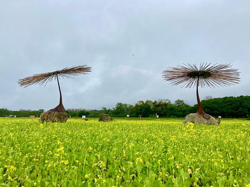 大農大富平地森林園區-花蓮分署提供