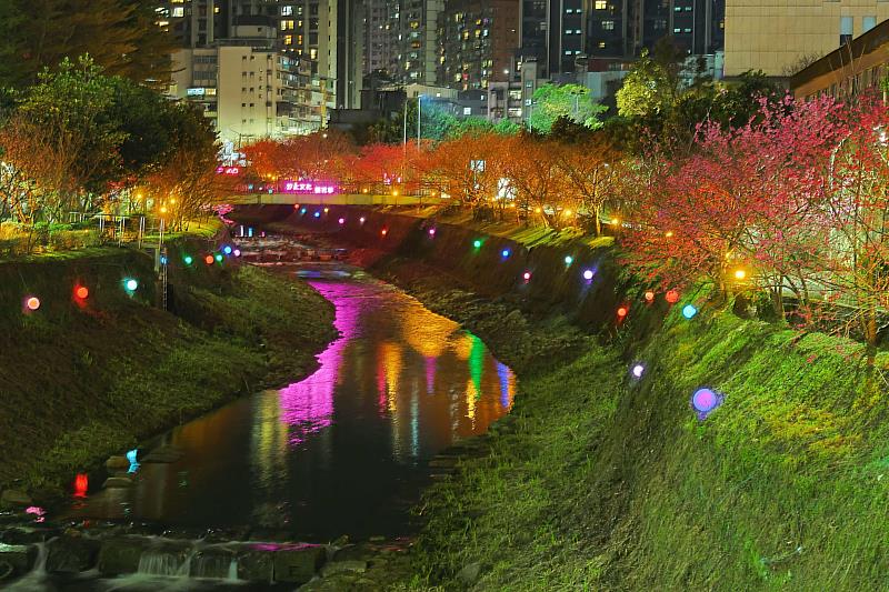 夜間亮起的「溪澗夜櫻」讓山櫻花在夜間燈光投射下，別有一番風味