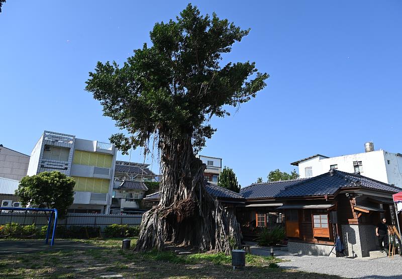 專賣局臺東出張所活化工程揭開新篇章 饒慶鈴：臺東慢食創生基地正式啟動！