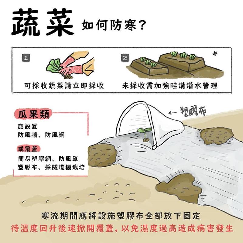 春節期間強冷空氣南下,請農漁業做好防寒措施