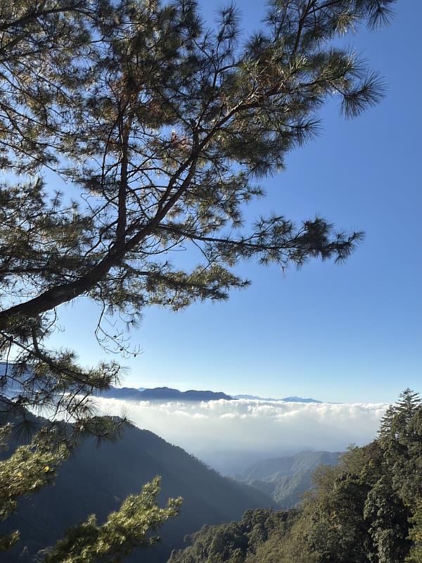 大雪山國家森林遊樂區雲海景色