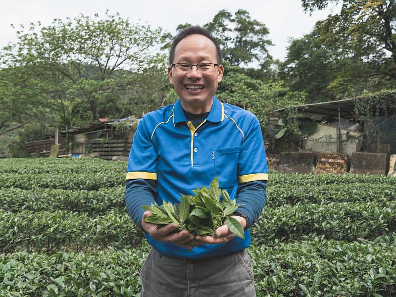 黃土水日前參與石碇區農會辦理之冬季包種茶比賽，報名10點茶樣全數獲獎