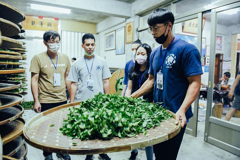 坪林青年茶業發展協會新任理事長陳威憲將坪林包種茶推廣至各年齡層民眾