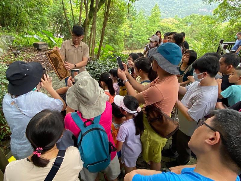 春節期間可以到牧蜂農莊體驗蜜蜂導覽