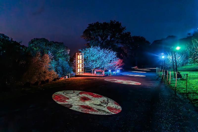 美國藝術家Sara Berrenson作品打造的「流動櫻蒔」沈浸式光影區，，讓大家沉浸在櫻花與光影交織的詩意美學中