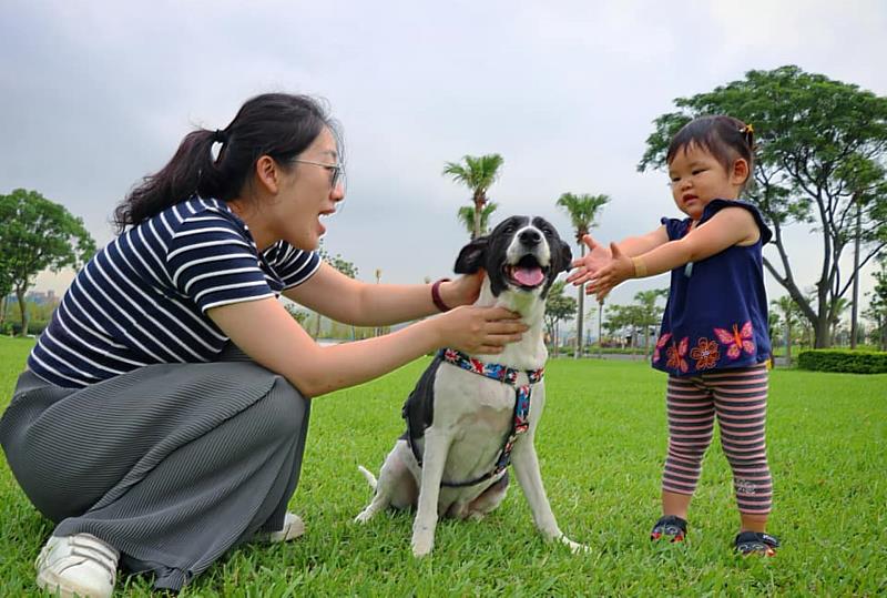 「八里毛孩兜風行」為毛小孩打造寵物友善的悠遊空間。