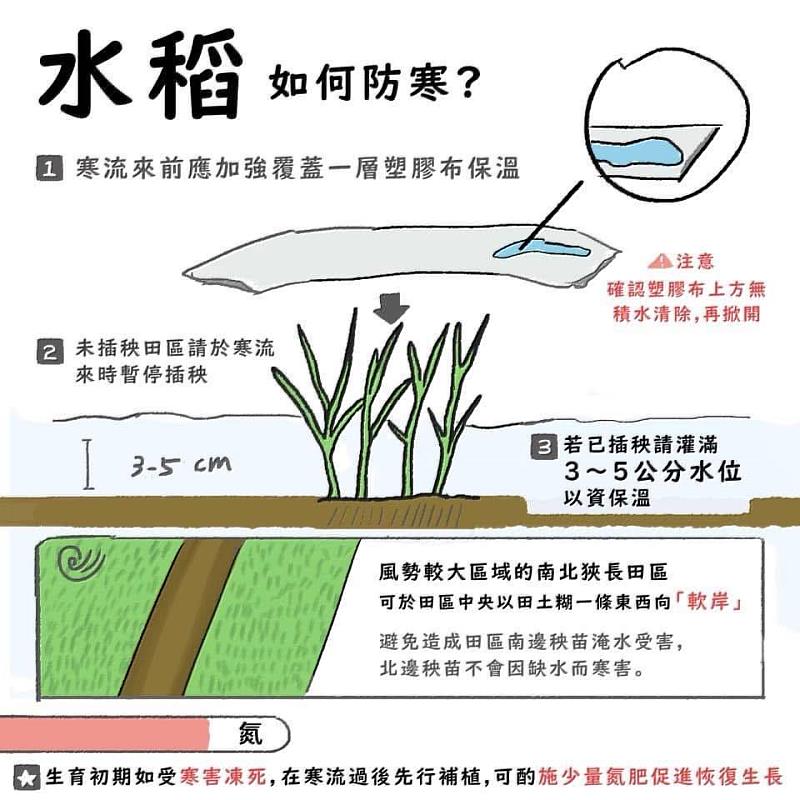 大陸冷氣團南下 嘉義縣政府籲請農漁牧養業加強防寒措施