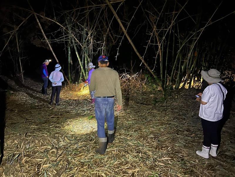 巡守團隊夜間在竹林中巡護進行生態觀察與棲地環境監測