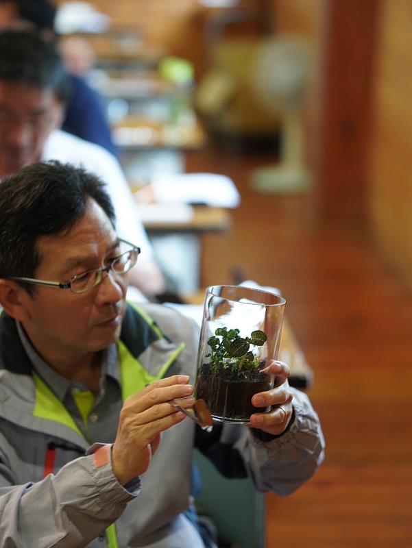 透過臺灣金線連微景觀生態瓶製作,重現森林底層植物微環境之美