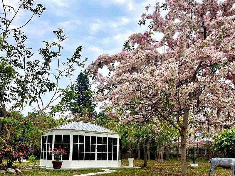 嘉義水上親子一日遊 探索星空奧秘、品味咖啡與美食