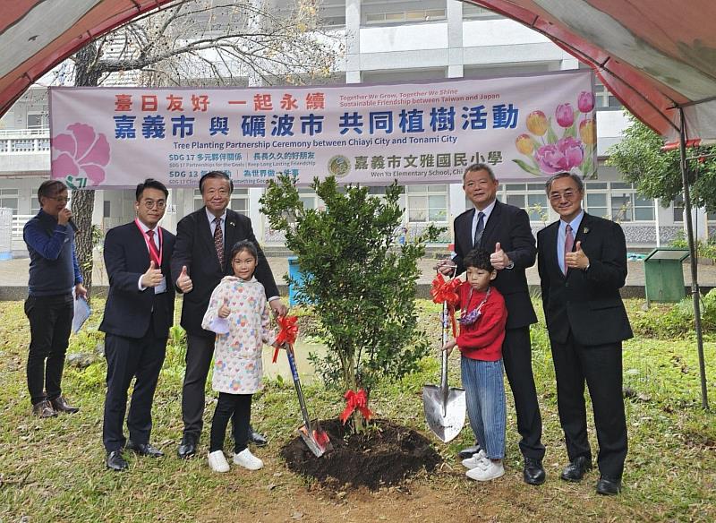 0_嘉市與礪波市共植一株黃楊