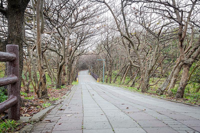 新竹17公里海岸線自行車道與周邊現況