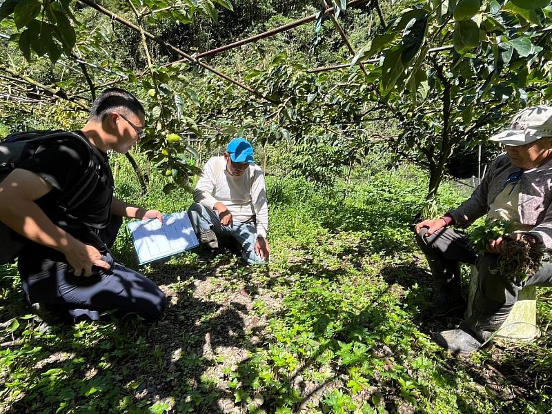 華碩電腦股份有限公司與林業保育署臺中分署合作，委託專業團隊在大雪山中海拔草生栽培林地訪談林農，了解穿山甲出沒紀錄