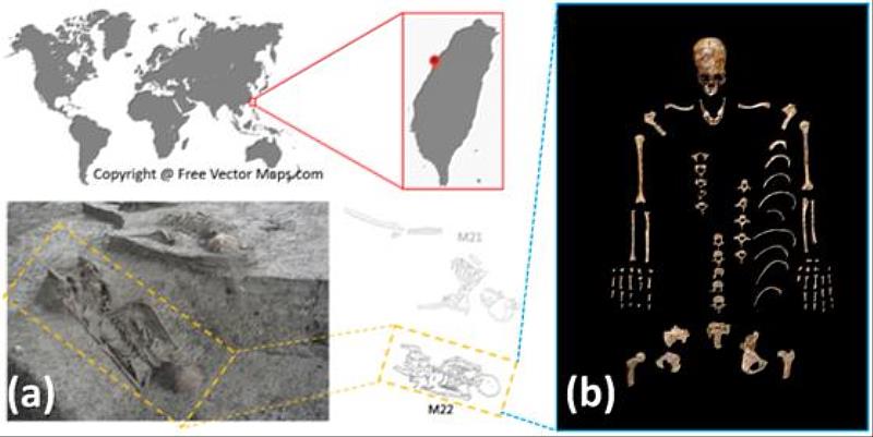 從台灣中社考古遺跡挖掘出150年前的骨骸碎片