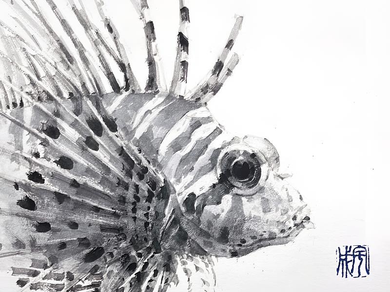 作品搶先看《迷人而危險 - 獅子魚》局部黑白交錯的筆觸勾勒獅子魚優雅而致命的姿態,流暢的線條與暈染的墨色,將它靜止卻暗藏動勢的魅力展露無遺。